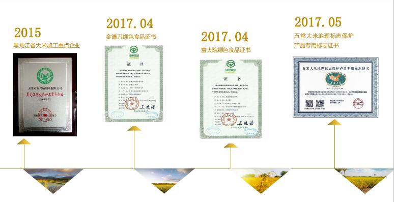 发展历程1.jpg